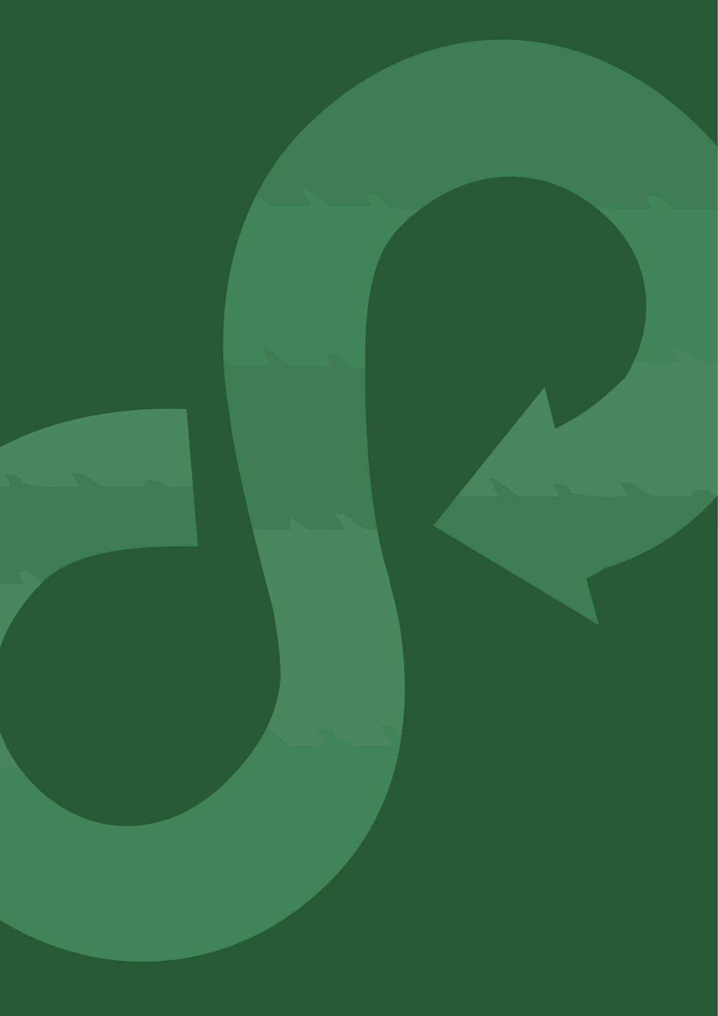 Beyond Carbon Focus